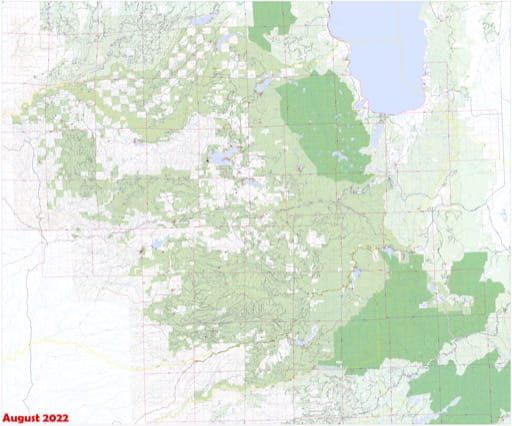Recreation Map of South Lake Tahoe in the Eldorado National Forest (NF) in California. Published by the U.S. Forest Service (USFS).