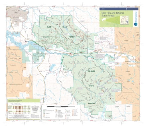 Elbe Hills and Tahoma State Forest