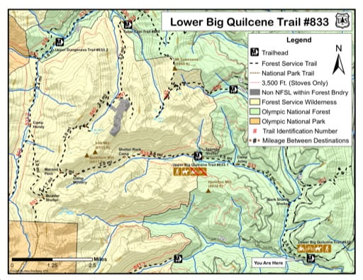 Map of Lower Big Quilcene Trail #833 in Olympic National Forest (NF). Published by the U.S. Forest Service (USFS).