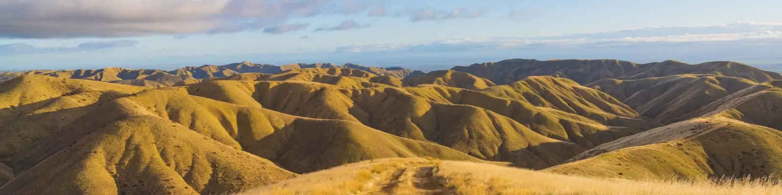 Tumey Hills  Bureau of Land Management